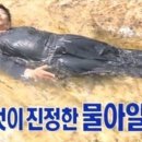 우리들여행 이미지
