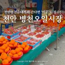 동남(병천)-22-04 | 병천 가볼만한곳 천안 병천 시장 오일장 장날 순대거리 주차 위치 정보