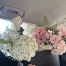 일동연세의원 | 9. 노래해 라라랄라라라 일상