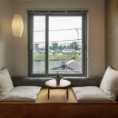 스테이시호일 이미지