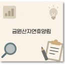 금원산자연휴양림 예약부터 야영장 물놀이 맛집까지 1분 정보