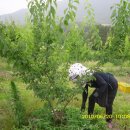 삼수농장 이미지