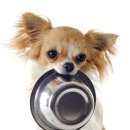 (주)허미 이미지