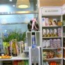 포도나무약국 이미지