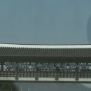 전여사네 돌산 갓김치&오동도김부각 이미지