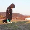 넥서스켄넬 이미지