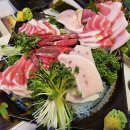 독도마루참치