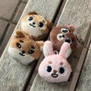 골든보이스 갈라 콘서트 봄의 노래 | 먹고 데이식스 보고 또 먹었더니 5월 다 갔네 미친거