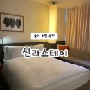 울산 | 울산 신라스테이 호텔 숙박 후기
