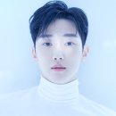 진영 일간스포츠