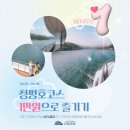 디오션크루즈 이미지