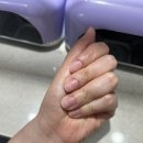 예지네 | 관악구 2호선 서울대입구역 네일 <예지네일> 크리스마스 자석젤 반반네일 내돈내산 후기