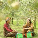 얼음골막걸리 이미지