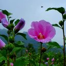 수도국산달동네박물관 이미지