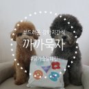 까까묵자 이미지