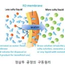 삼투