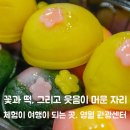청령포관광안내소 | 체험이 여행이 되는 곳, 영월관광센터 화이통