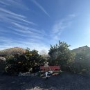 민속주유소 | (8세 아이와 제주 한달 살기) 5일차 : 성읍민속마을, 표선 키즈몬