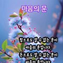 인삼보다 뛰어난 마늘의 효능 이미지