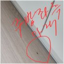 둥지광택 | 광주광역시 입주청소 꼼꼼하게 작업하는 업체