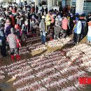 무박2일 이미지