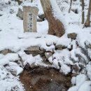 데미샘