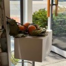 필프리 카페 이미지