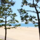 비체의원 이미지