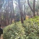 조내기고구마 역사공원 이미지