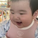 하도 로운이네 이미지