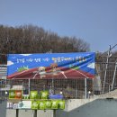 헬로우버디 | 분당 강아지 유치원 헬로우버디 운동회 후기