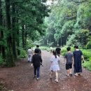 사려니숲길주차장 이미지