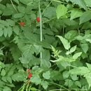 파리바게트 앞(2) 이미지