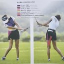 스윙의 기초 이미지