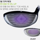 프랜드 골프 | 김포 골프샵 여자 여성 골프채 풀세트 다이와 LP425 모델 최저가 시타 구매 후기