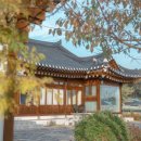 스테이폴앤메리 이미지