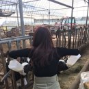 충만한우농장 이미지