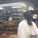 스타벅스 국제시장점 | 짝지와 함께2: 4. 남포동 종횡무진(스타벅스, 김영상회, 한일사약국, 다이소)