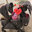 조코라인 이미지