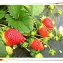 마현농장 이미지