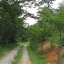 38선 숨길 1코스 이미지