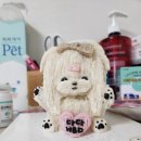 아지멍 | 아지멍 입체 케이크