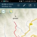 용문산 은행나무길(물소리길 6코스) 이미지