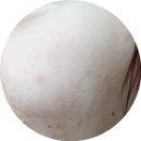 루즈비오 이미지