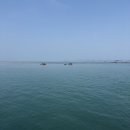 완도읍-3 | 완도 약산도 봄 쭈꾸미 낚시 포인트 3월 탐사 솔직후기 (조과 있음)