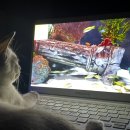 위드펫종합동물병원 이미지