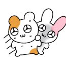 새로산운동화 이미지