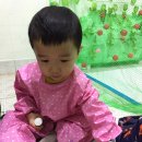우준2농장 Daum카페