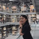 놀러와 피시 이미지