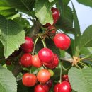 곡성-135 이미지